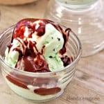 homemade hot fudge on mint chip ice cream