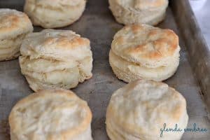Freshly baked Homemade Biscuits on a sheet tray.