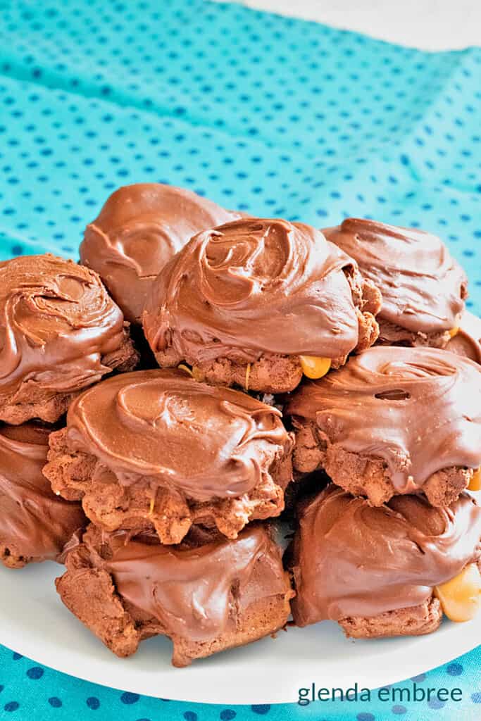 waffle iron turtle cookies arranged on a white plate