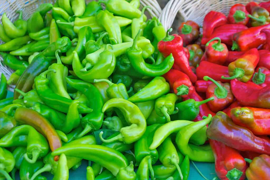 green and red hatch chilies