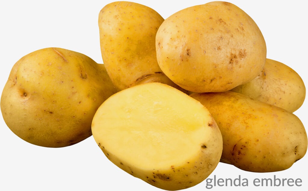 raw, unpeeled yukon gold potatoes on a white background.  One potato in front is sliced in half to expose the yellow flesh.