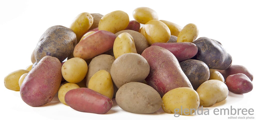 pile of different varieties of raw unpeeled potatoes on a white counter top