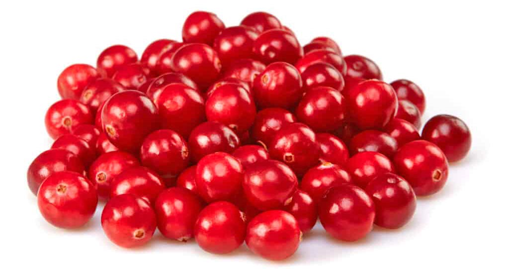 Fresh cranberries on a white counter.