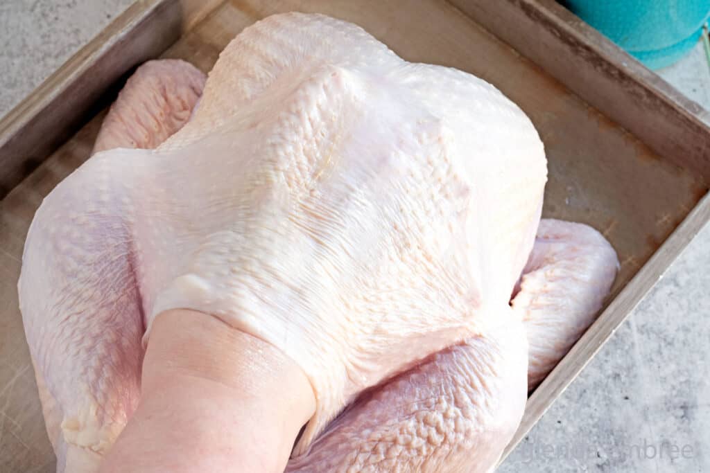 Sliding hand under the skin of a turkey breast to separate meat from skin.