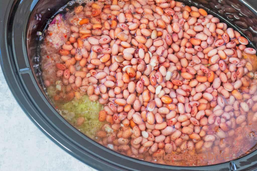 Dry red beans and water added over the veggies, sausage and spices in a slow cooker for red beans and rice.